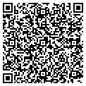 QR code with Stogies contacts