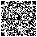 QR code with Pro Mini Lab contacts