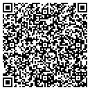 QR code with Pumps Plus contacts