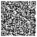 QR code with E World contacts