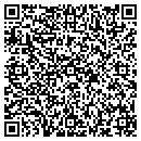 QR code with Pynes Chem Dry contacts