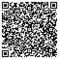 QR code with Stoddco contacts