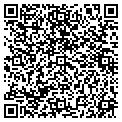 QR code with Roots contacts