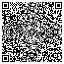 QR code with Premiere Services contacts