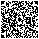 QR code with Public Works contacts