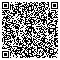 QR code with Dillards contacts
