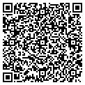 QR code with New Look contacts