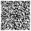 QR code with Carrie Solutions Corp contacts