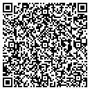 QR code with Project Turn contacts