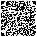 QR code with N Salon contacts