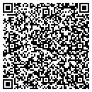 QR code with Precision Molds Inc contacts