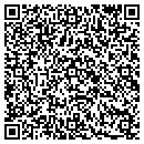 QR code with Pure Solutions contacts