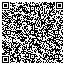 QR code with Public Works contacts