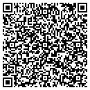 QR code with Cys Eclectic contacts