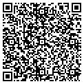 QR code with V F W contacts