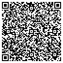 QR code with Castle Valley Center contacts