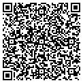 QR code with D-Dyer contacts