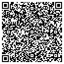 QR code with Blueberry Mall contacts