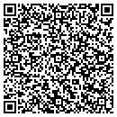 QR code with Blue Turtle Design contacts