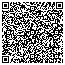QR code with Cv International Inc contacts