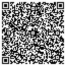 QR code with Precision Power contacts