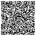 QR code with X Loan contacts