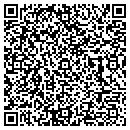 QR code with Pub N Scribe contacts