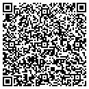 QR code with Bluefin Design Group contacts