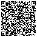 QR code with Tilt contacts