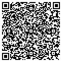 QR code with Paccar contacts