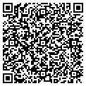 QR code with R Salon contacts