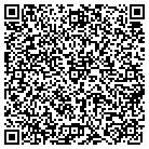QR code with Badger Daylighting Mountain contacts