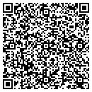 QR code with Provident Financing contacts