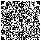 QR code with Pulaski Healthcare Center contacts