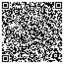 QR code with Public Storage contacts