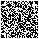 QR code with Ppigogetters contacts