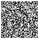 QR code with Blue Ridge Container contacts