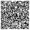 QR code with Pro Image 313 contacts