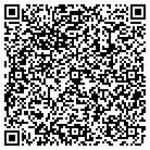 QR code with Pulaski Christian Church contacts