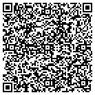 QR code with Public Library Systems contacts