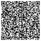 QR code with Pulaski Elementary School contacts