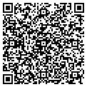 QR code with Sisily contacts