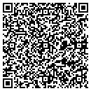 QR code with Pulaski Networks contacts
