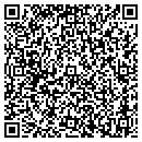 QR code with Blue Hill Inc contacts