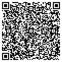 QR code with Lily contacts