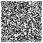 QR code with Back To Basics Toys Inc contacts