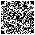 QR code with Shell contacts