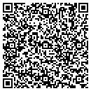 QR code with Blue Ridge Electric Co contacts