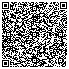 QR code with Public Safety Fleet Mntnc contacts