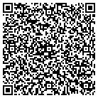 QR code with Blue Ridge Timberwrights contacts